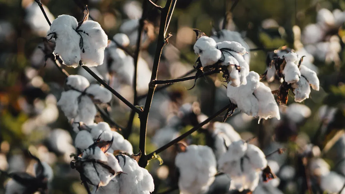 Why Choose Sustainable Cotton Tops for Your Store