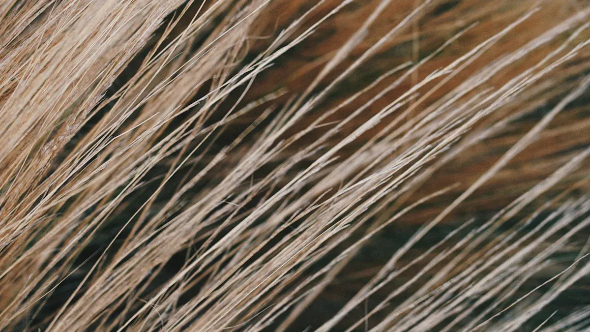 Modal Fabric Production