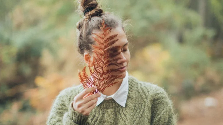 Sweatshirt vs Sweater Comprehensive Comparison for 2025