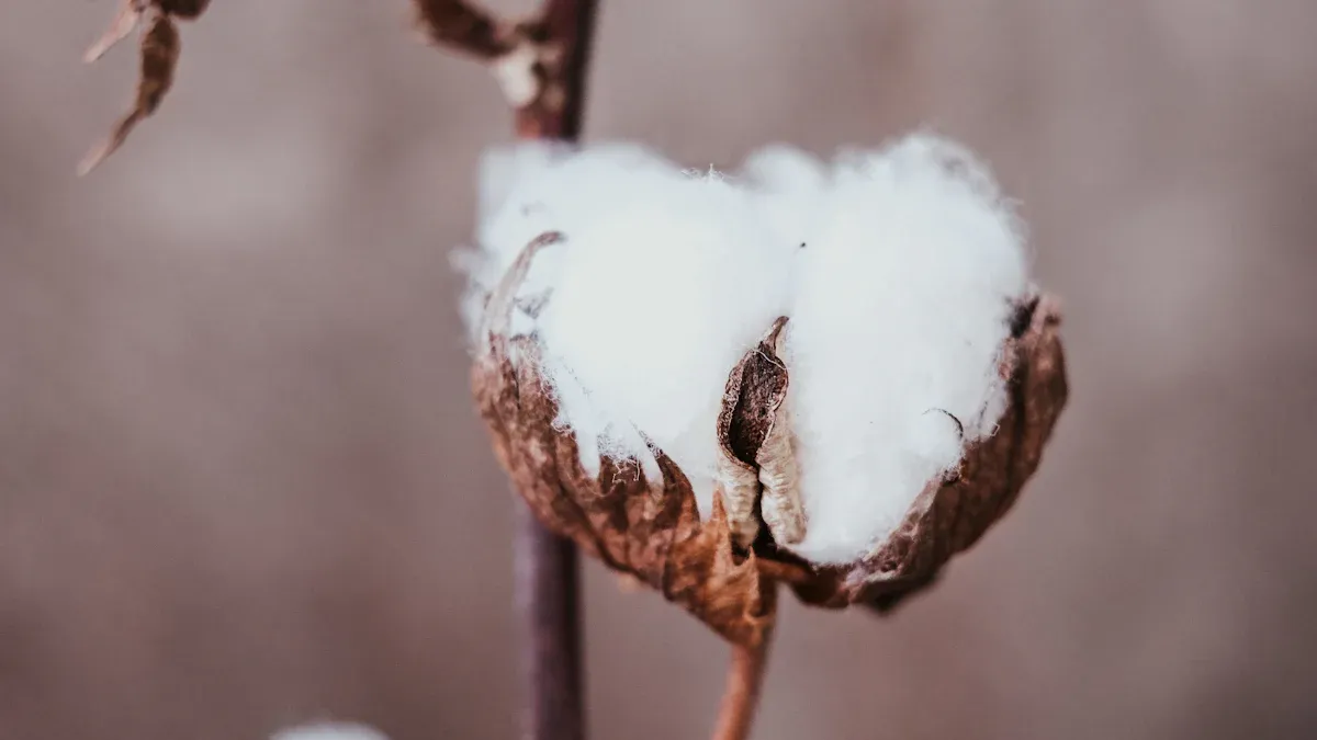 Knitwear Certification Overview