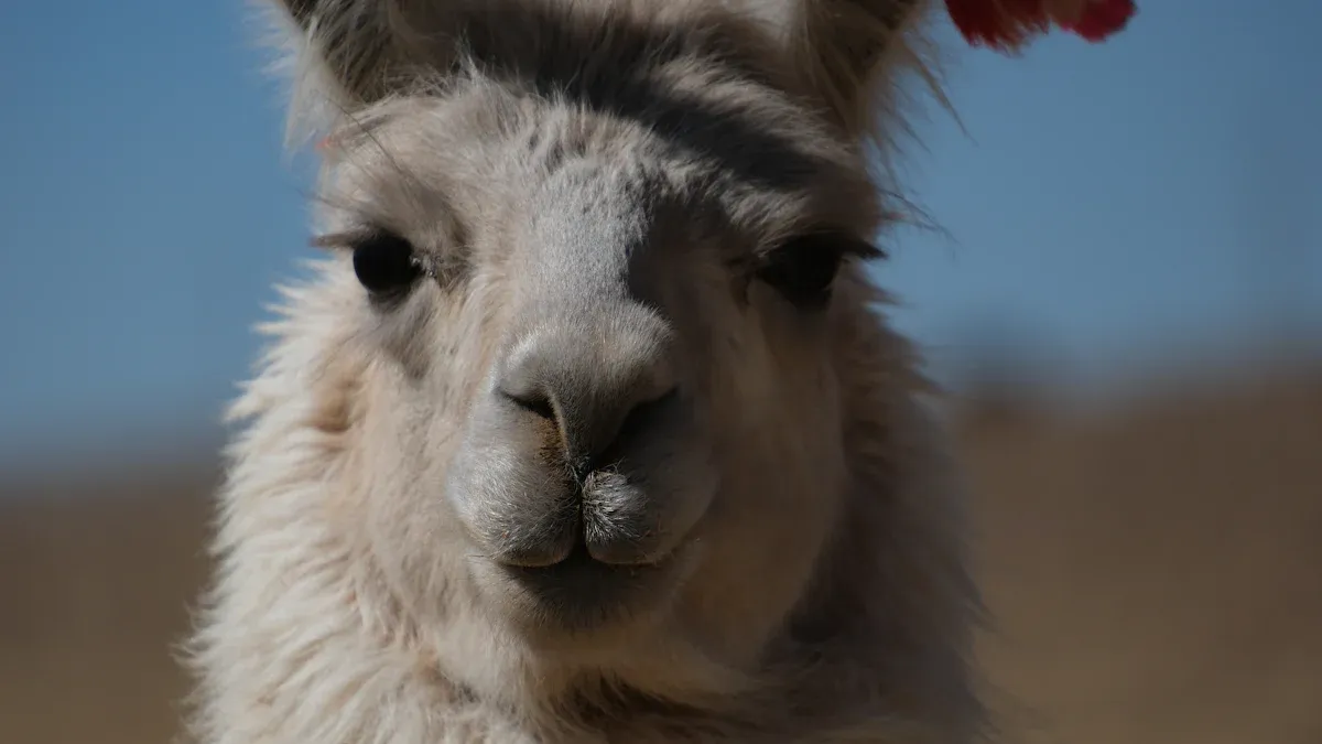 Physical Characteristics