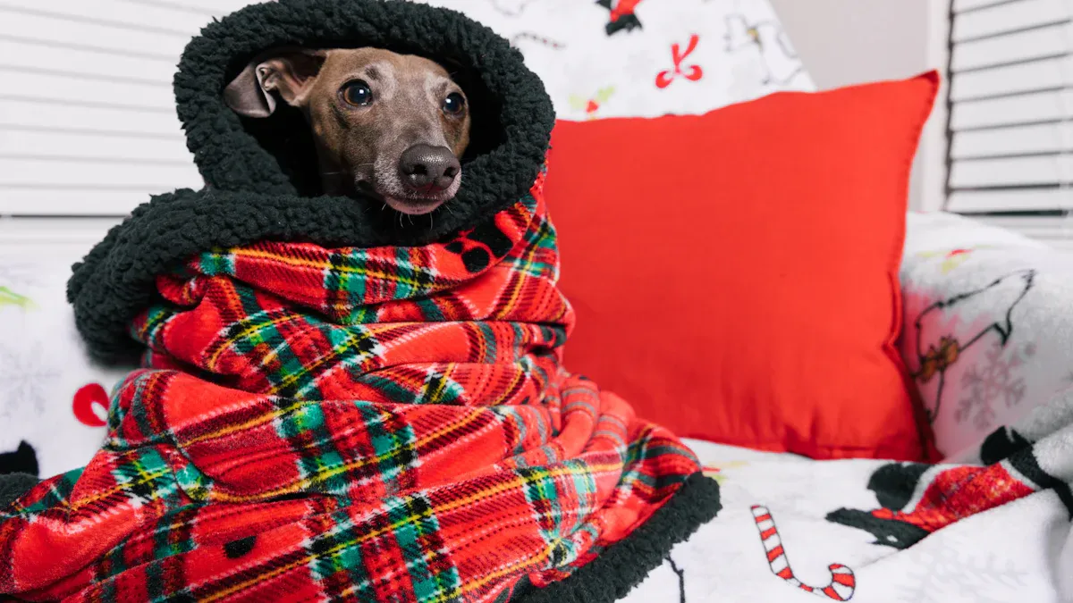 Top Italian Greyhound Sweaters