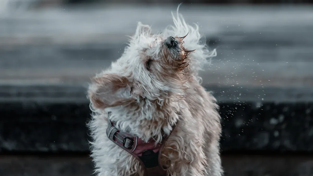 Signs Your Dog Is Cold