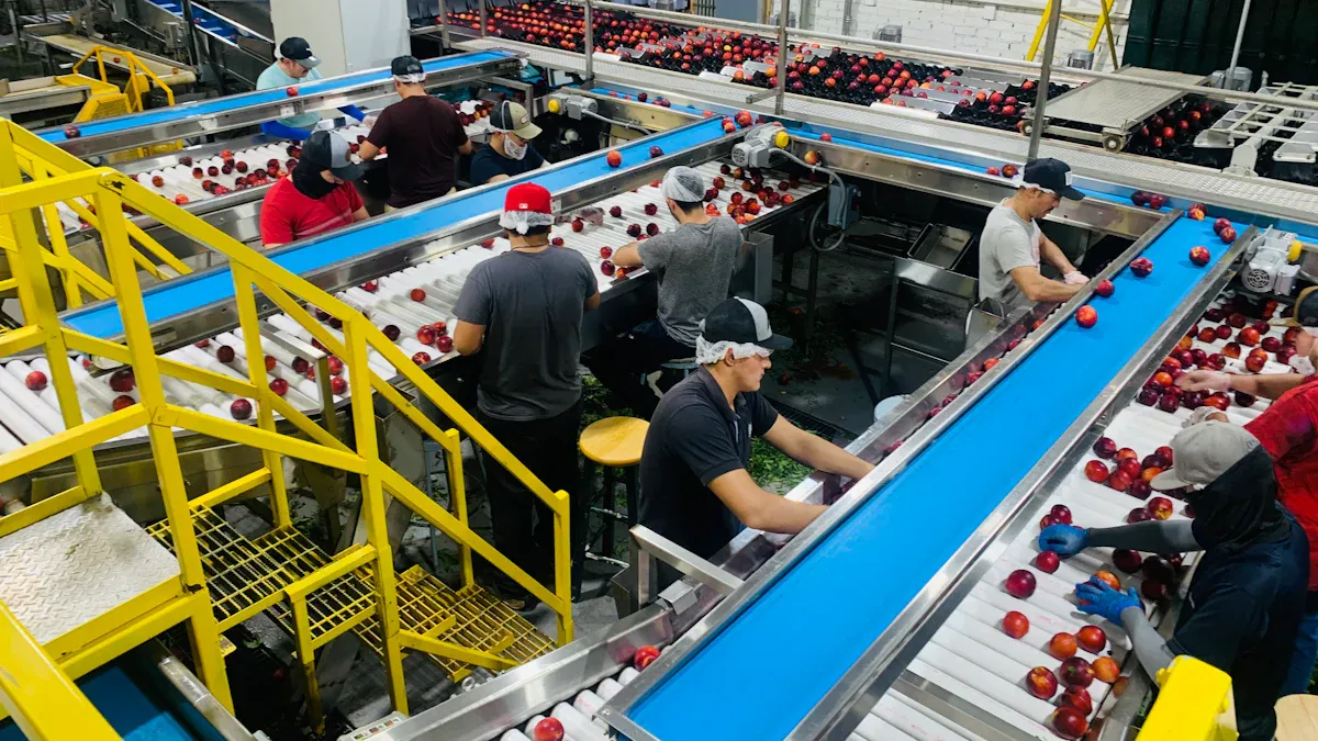 Supply Chain Optimization