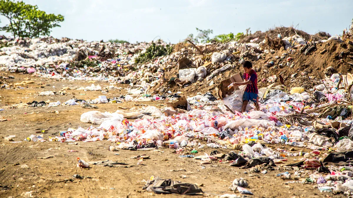 Ethics & Sustainability