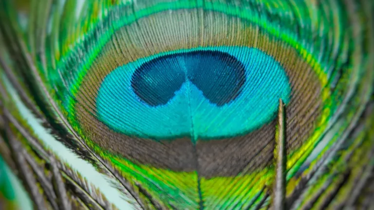 How to Tell Teal and Turquoise Apart Visually