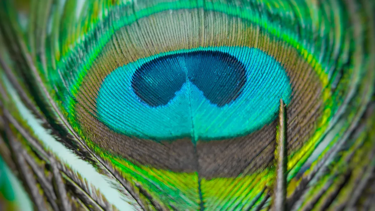 How to Tell Teal and Turquoise Apart Visually