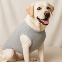 black-lab-yellow-lab-apparel