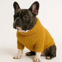 frenchie-sweater
