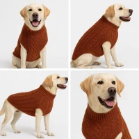 labrador-dog-sweater
