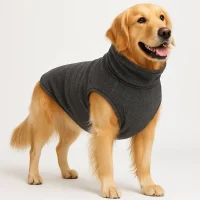 large-dog-winter-clothes
