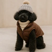 stylish-winter-outfit-for-poodle