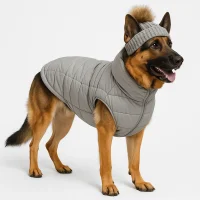 warm-vest-for-big-dogs